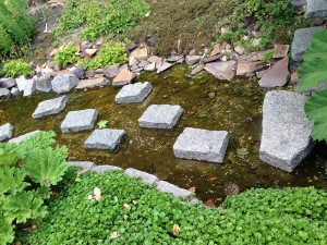 Betonplatten im Wasserbecken im Botanischen Garten